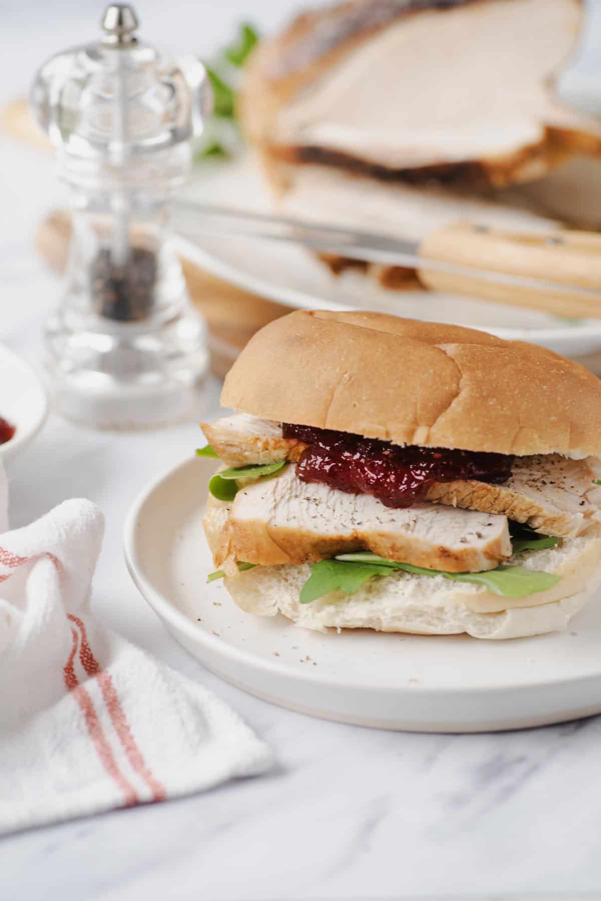 Air Fryer Turkey Breast