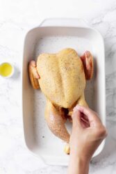 Roast Chicken With Vegetables and Potatoes