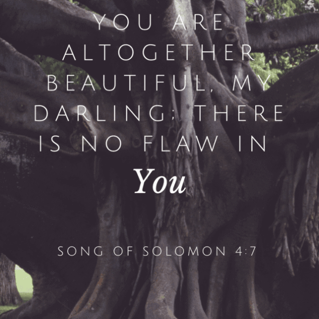 Sunday Reflections - Thoughts on what God has been teaching me throughout the week! | #Foodfaithfitness | #Christian #Bible #Devotional #Christianity