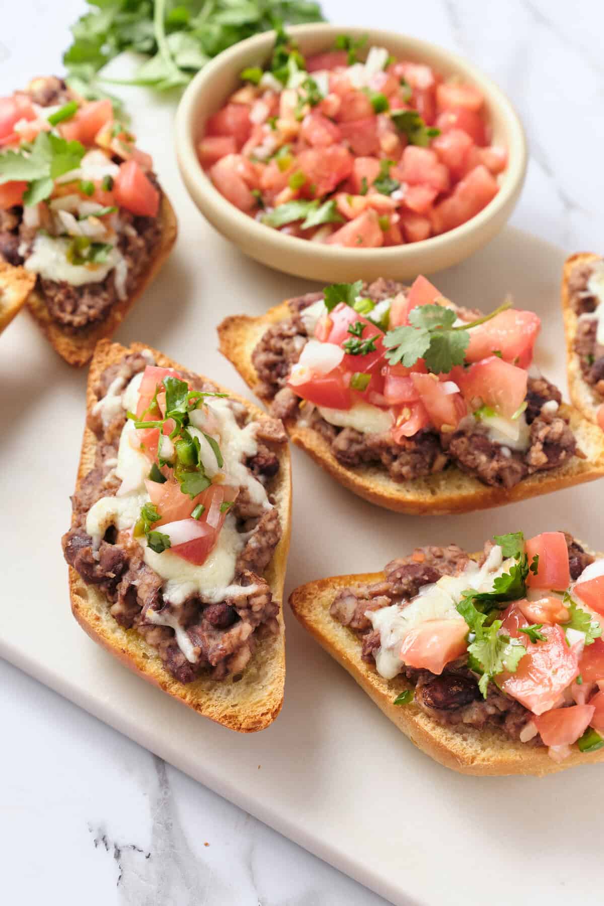 Savory beef and bean nachos topped with melted cheese, fresh tomatoes, and cilantro on toasted tortilla chips, served with a side of homemade pico de gallo in a white bowl.