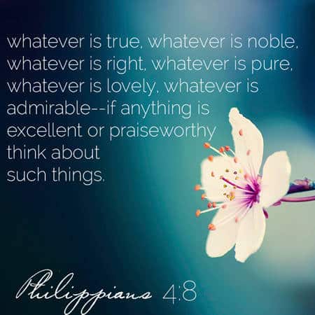 Sunday Reflections - Foodfaithfitness.com